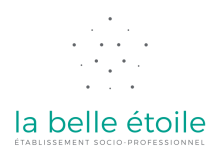 Logo Belle etoile 